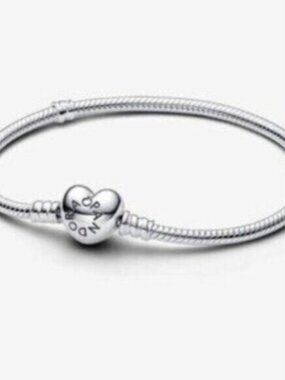💝💞NWT Pandora Silver Snake Chain Bracelet